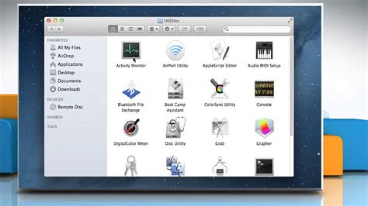 Mac OS X Activity Monitor - what does 