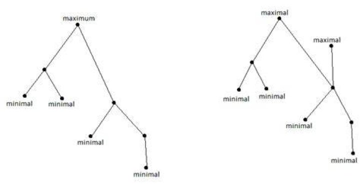 maimal vs maximum