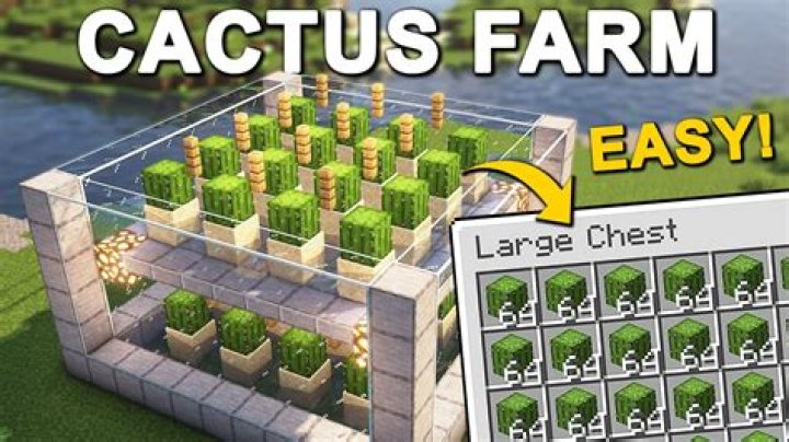 Minecraft Automatic Cactus Farming