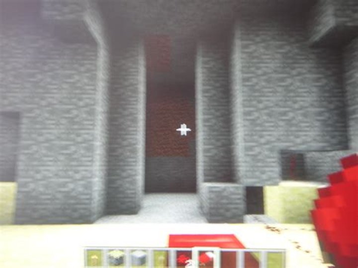 Minecraft Double Switch Door