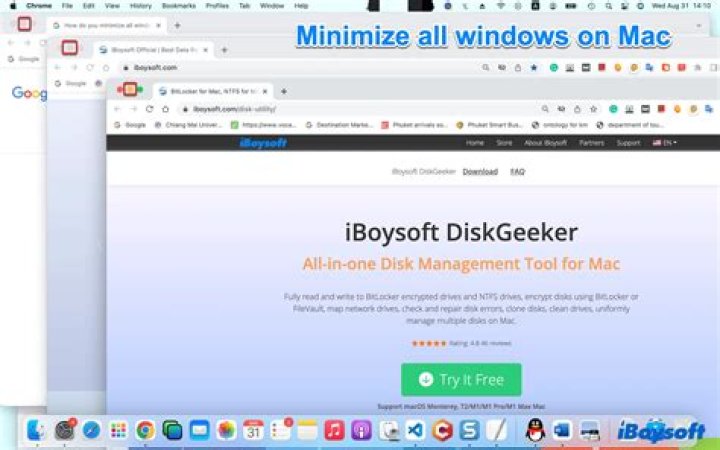 Minimize All in Mac OS?