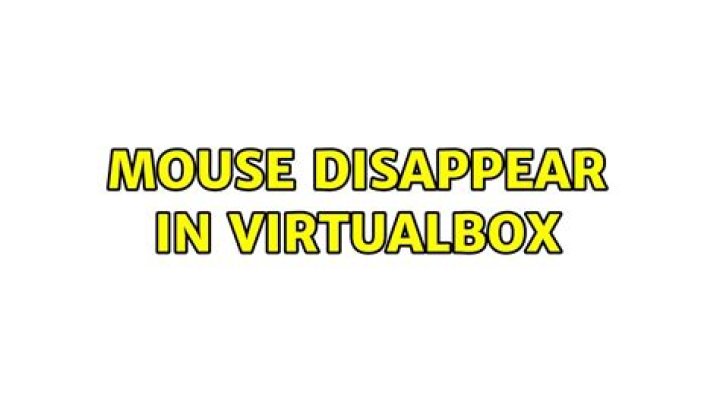 Mouse disappear in VirtualBox