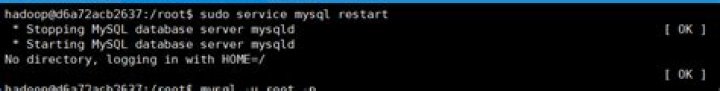 MySQL. No directory, logging in with HOME=/