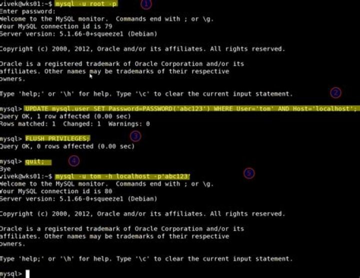 MySQL password