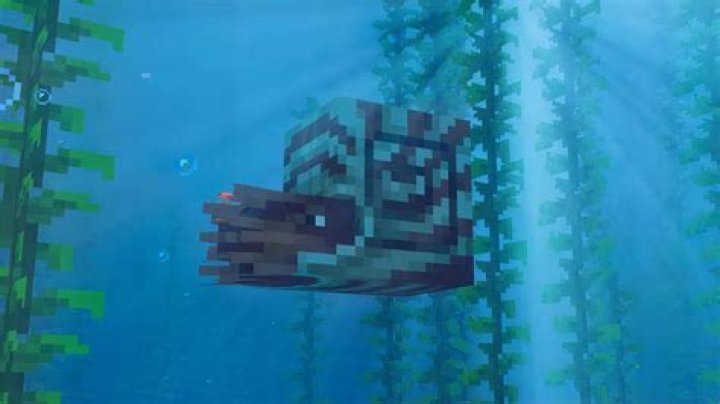 nautilus mount