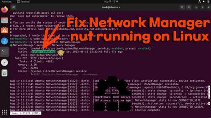 “NetworkManager is not running”- error. After manually upgrading nmcli to 1.0.6 on ubuntu 12.04