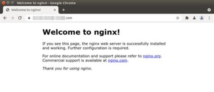 Nginx shows error page from time to time