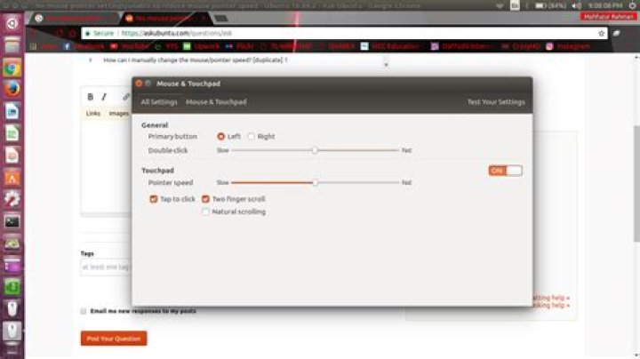 No mouse pointer settings/unable to reduce mouse pointer speed - Ubuntu 16.04.2