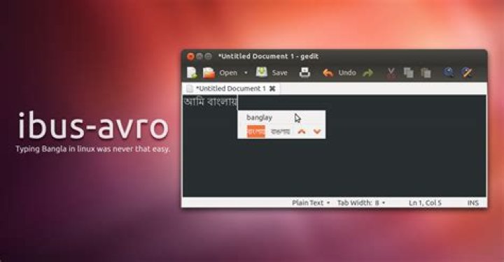Open Bangla or avro phonetic not work on Ubuntu 21.10 cinnamon