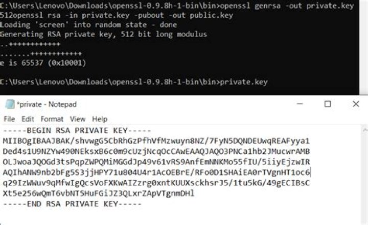 openssl unable to pass -config and -signkey options in the same command