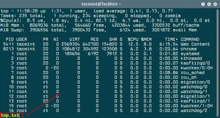 Output of top