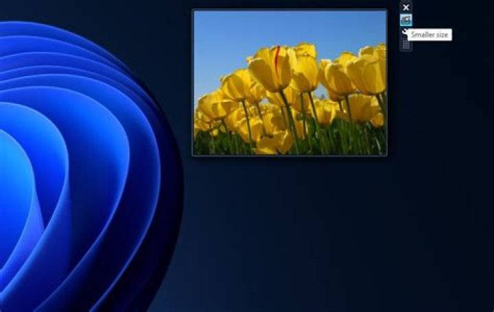 Overlay translucent image on desktop / above all windows