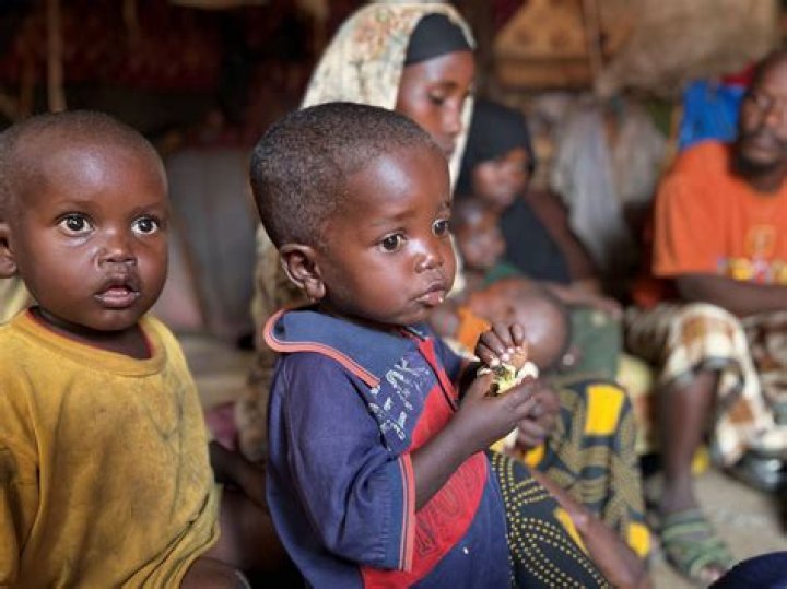 People are hungry while food is available