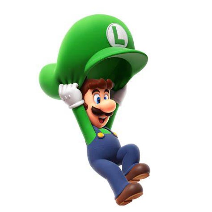 Picture of Luigi's description in Paper Mario manual
