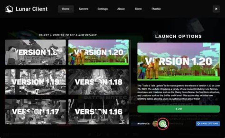 Picture of lunar client versions.