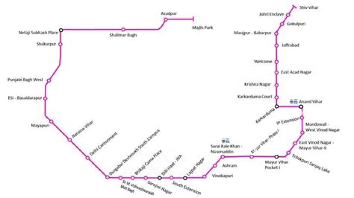 pink line