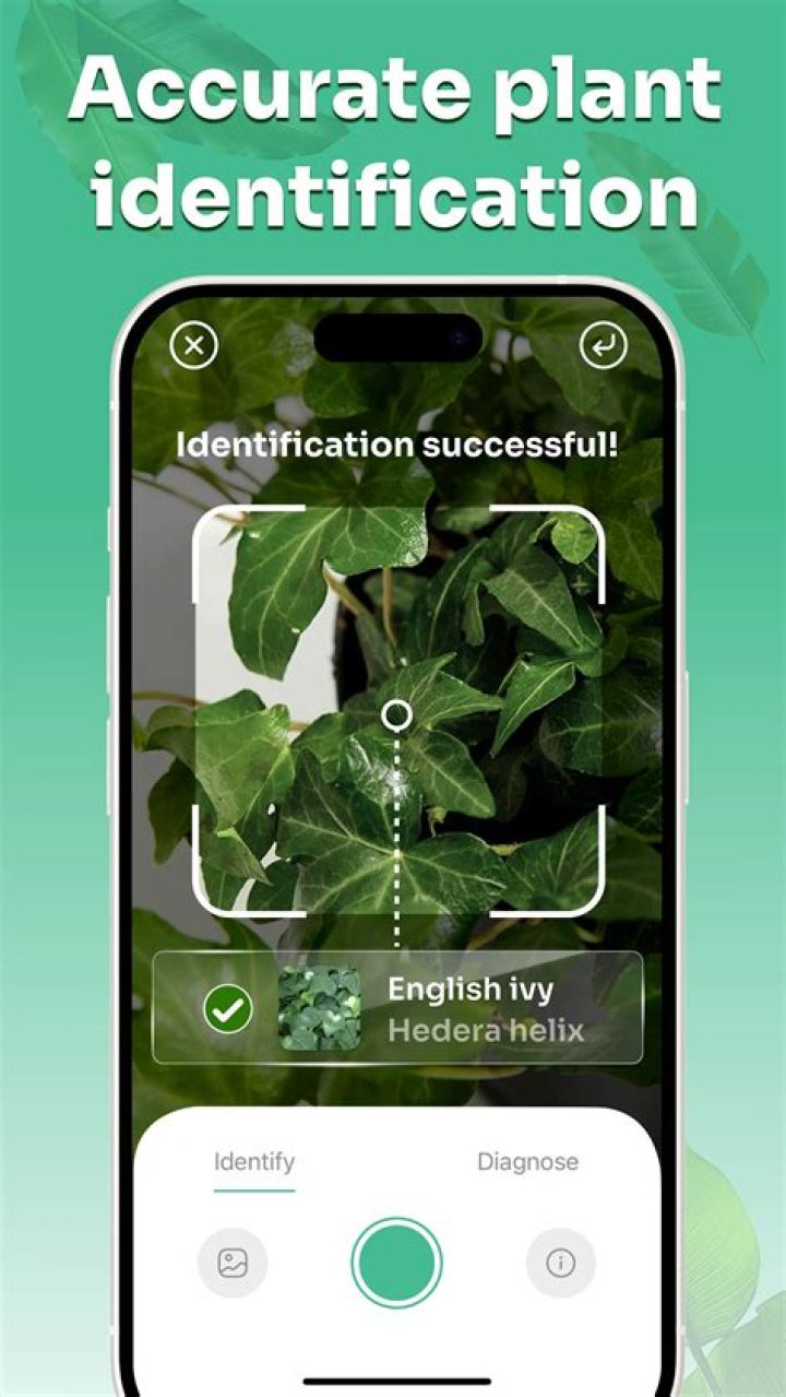 plant screenshot