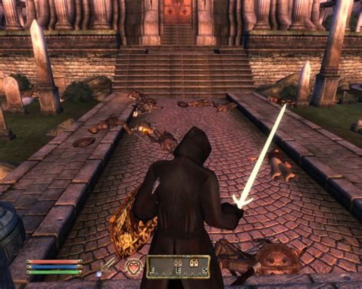 Playing a sneaky character in Oblivion