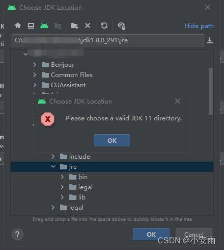 Please choose a valid JDK directory