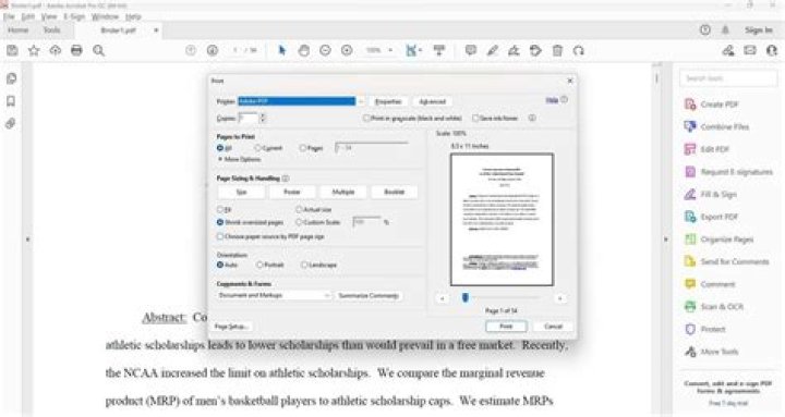 Print dialogue