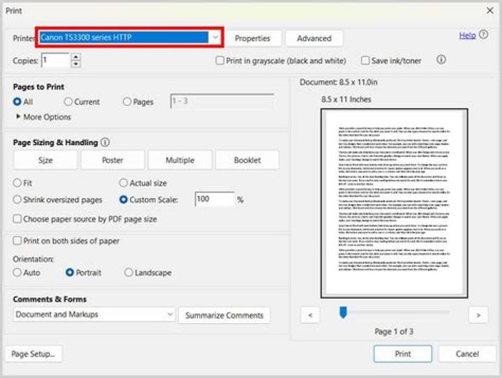 print screen of print dialog on Acrobat Reader