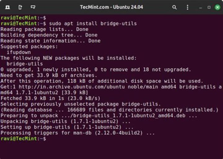 Problem to setup network-bridge with netplan under Ubuntu 18.04 dedicatet server