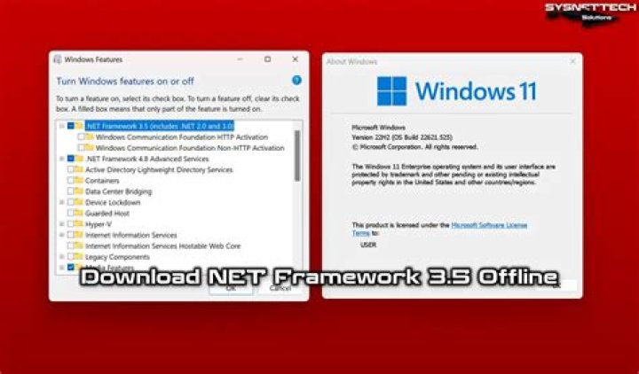 Program installer requires .NET framework 3.5 but I have 4.8
