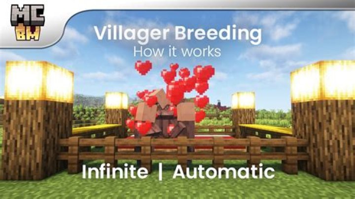 Proper path to modify villager anger?