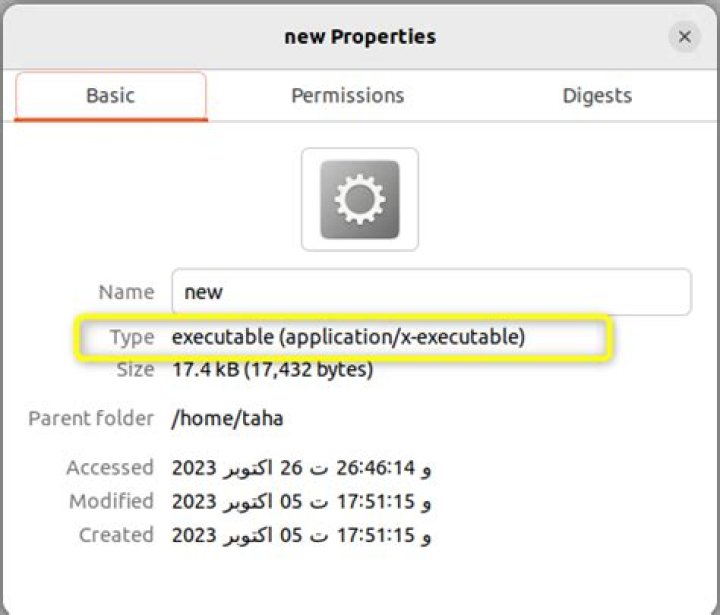properties of executable file