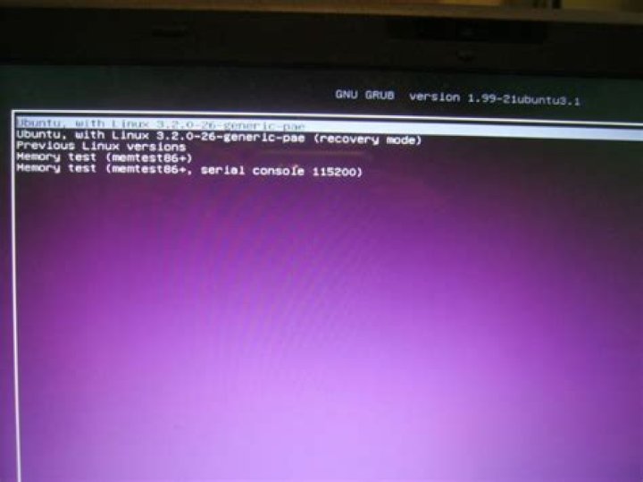 purple grub screen