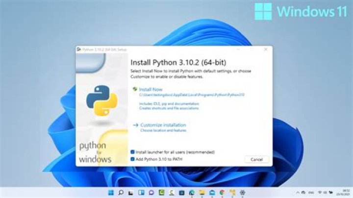 Python is not installing on Windows 10