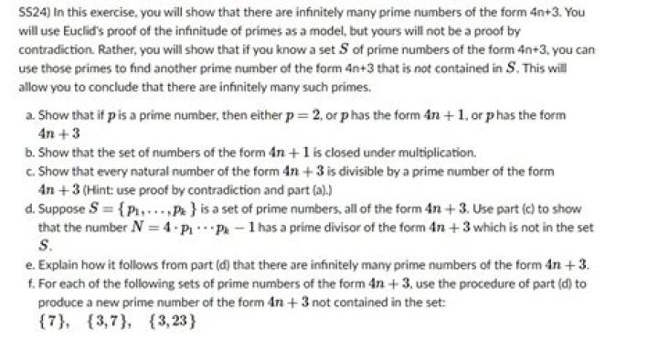 Question from Putnam '89: Primes of the form $101\ldots01$