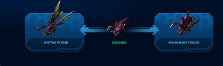 Raptor or Swarmling Zerglings in HOTS?