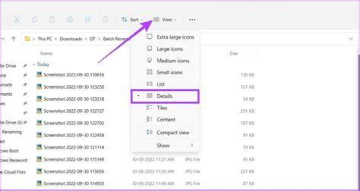 Recursively rename all files whose name starts with a dash
