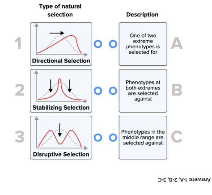 Replace the current clipboard selection with a modified version of the original selection