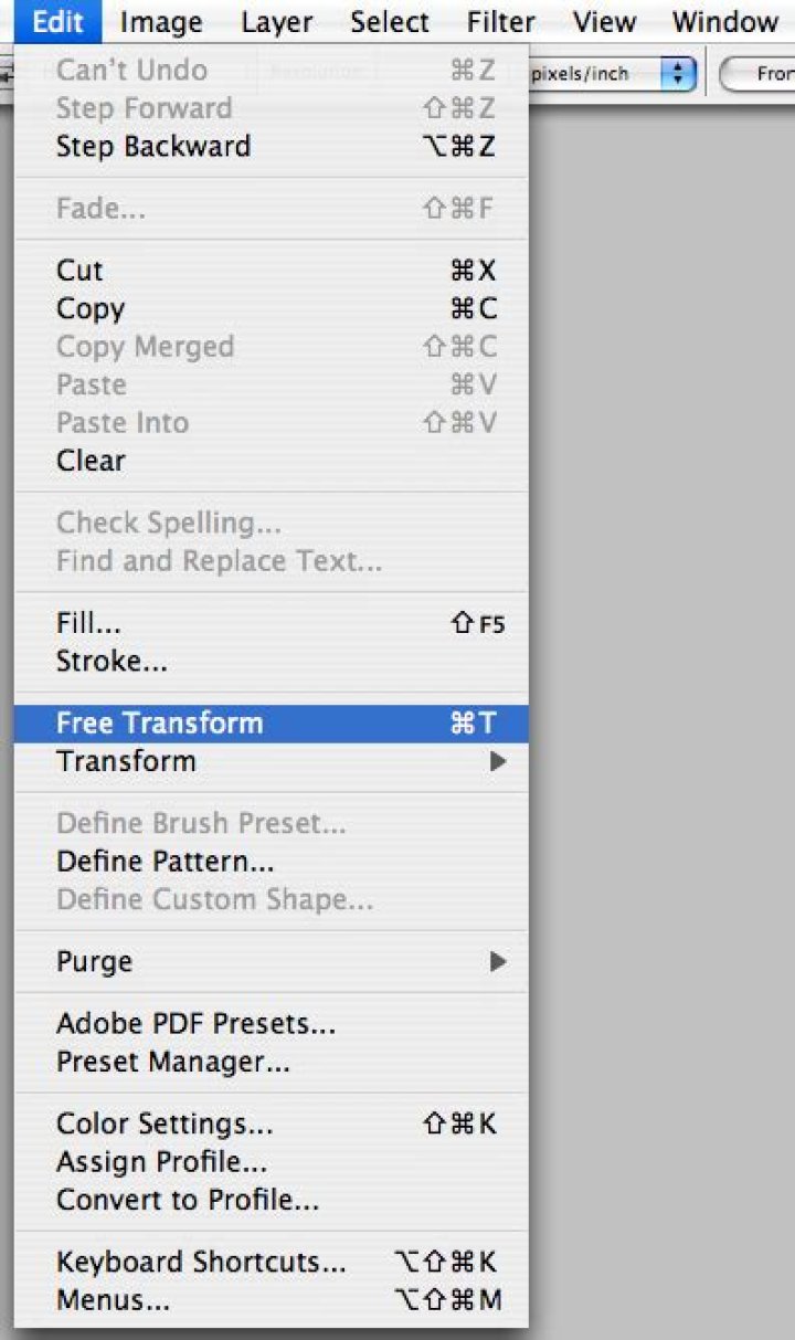 resize an image in a single layer in photoshop
