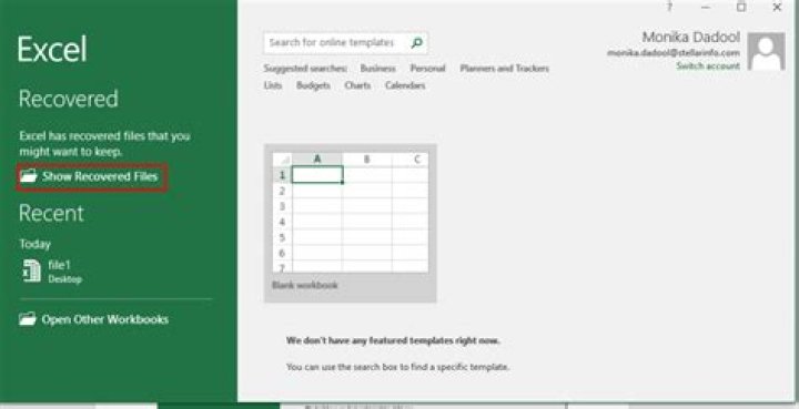 Restore Multiple Document Interface on Excel 2013