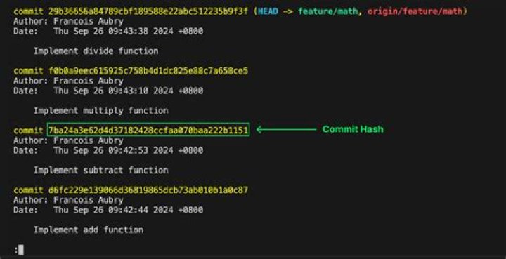 Revert to a commit by a SHA hash in Git? [duplicate]