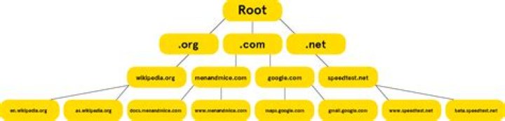 Root Severs