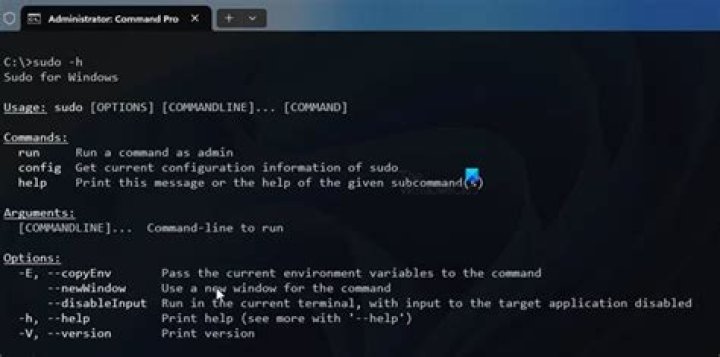 Run sudo command with non-root user in Docker container
