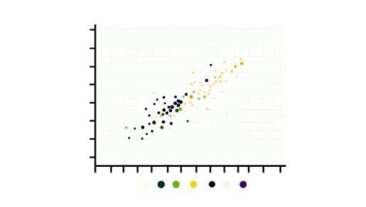 scatter plots and distributions