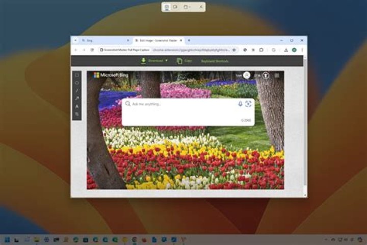 Screenshot: Google Chrome in Software Center