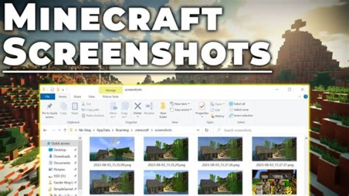 Screenshot of Minecraft fandom
