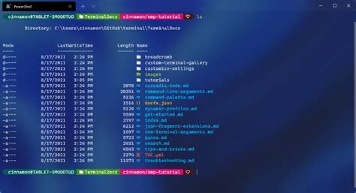 screenshot of my terminal window