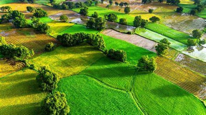 Screenshot of the Field