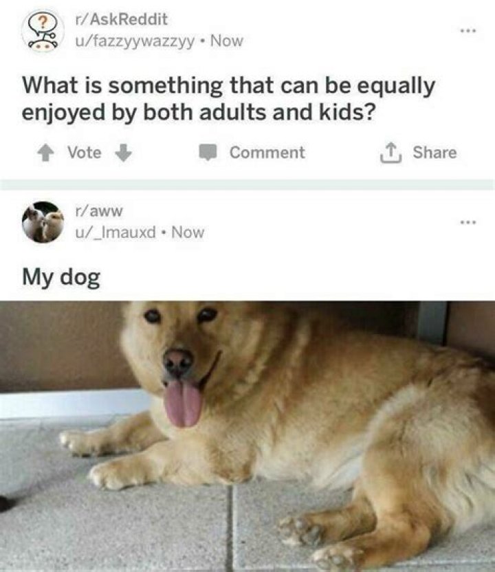 screenshot of weird images