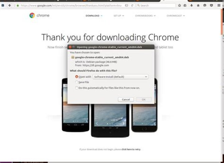 Screenshot: Opening deb dialog