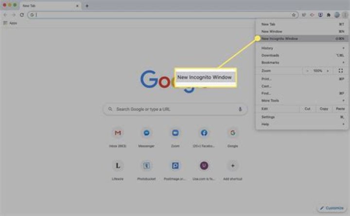 Screenshot showing incognito window in SB
