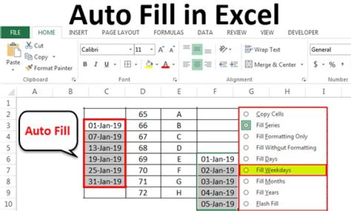 See all autofill data [duplicate]