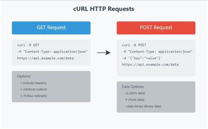 Sending a POST request via curl has issues with double quotes